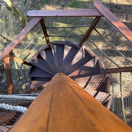 Отель Treehouse U Rybnika Osecna Экстерьер фото